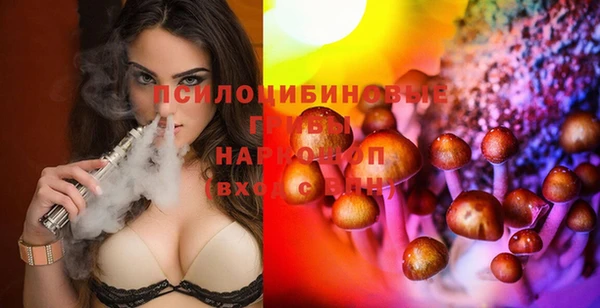 дурь Алексин