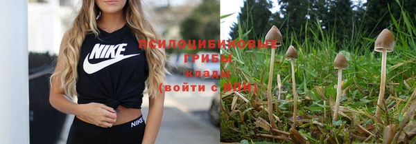 мдпв Новокубанск