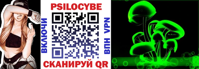 Псилоцибиновые грибы GOLDEN TEACHER  купить закладку  Тула 