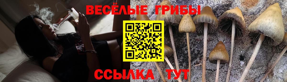 Тула  Псилоцибиновые грибы прущие грибы  Галлюциногенные грибы прущие грибы  Вход с VPN 